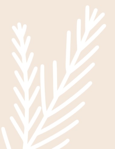 Pain de mie | Pain anglais